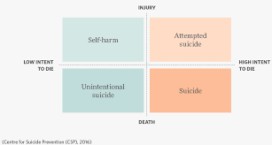 Suicide Our World In Data