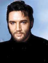 Brevard Live Live May 2020