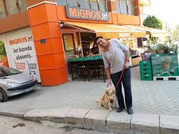 Migros Sihhiye Meydan Migros Calisani Ve Hayvan Sevgisi Bana Gore Eklenmeye Deger Migros Migroseskisehir Migrosjeteskisehir Migrosicanadolu Mig Goruntuler Ile Hayvan