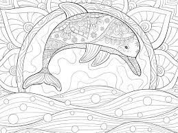 Delfin Ausmalbild 100 Malvorlagen Kostenlos Zum Ausdrucken