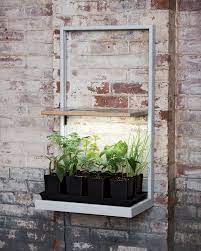 Seedlings Grow 40 Larger With No Transplant Shock In Our Self Watering Pop Out Pots Herb Garden In Kitchen Grow Lights Led Grow Lights