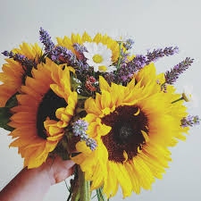 Sunflower And Lavender Bouquet For A Summer Wedding I D Add Some More Lavender And Some White Dah Sunflower Wedding Bouquet Lavender Bouquet Sunflower Wedding