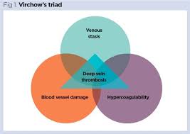 Effects Of Bedrest 2 Respiratory And Haematological Systems Nursing Times