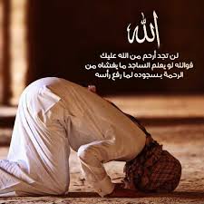 لن تجد أرحم من الله عليك فـ والله لو يعلم الساجد ما يغشاه من الرحمة بـ سجوده لما رفع رأسه صلاة الفجر Parachute Pants Islam Pants