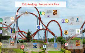 Our global writing staff includes experienced enl & esl academic writers in a variety of disciplines. Cell Analogy Amusement Park By Sam Kordsmeier