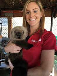 Walter first came to the aquarium in 2013, after he was found injured on a tofino coastline. Vancouver Aquarium Veterinary Fellow Dr Barb Linnehan Poses With Rialto Image Vancouver Aquarium Otters Cute Baby Sea Otters Otters
