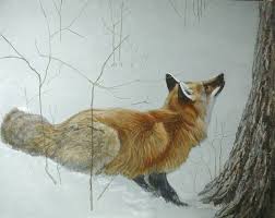 Robert Bateman Game Over Fox And Maple Animales Arte Amor Arte
