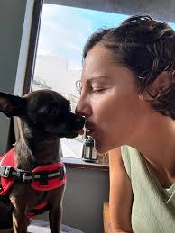 Hi… I just lost my best friend for a cancer, she was a chihuahua, my  beautiful soul 😔… and i don't find happiness in nothing since she is  gone…my house it's super