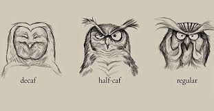 6 Caffeinated Owls In A Chart Because Sometimes You Like