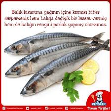 Balik Sevenler Icin Lezzetli Bir Tuyo Balik Balik Tarifleri Yemek Pisirme Ipuclari