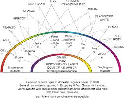 Genotypes And Description