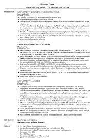 From the initial interview to a new hire orientation, the hiring manager is either planning or coordinating with other team members to make sure their new prospects are turning from candidates into employees. Employment Manager Resume Samples Velvet Jobs