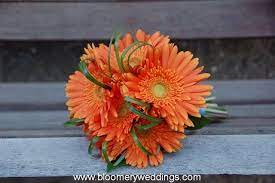 8 3 9 3 14 The Flowers Orange Wedding Bouquet Gerbera Daisy Gerbera Daisy Bouquet