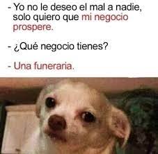 Pin De Luisa En Memes En 2021 Memes Divertidos Memes Para Reirse Memes