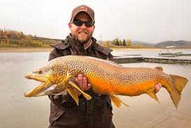9 Fish Species To Be Stocked In Vernal Reservoir To Rebuild Fishery Brown Trout Fish Trout Fishing