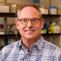 100+ profilů „Petris“