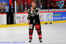 Les gothiques d'amiens apk is a sports apps on android. Presentation Des Clubs De Ligue Magnus 2019 20 Amiens