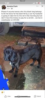 I'm looking for an electrician to wire up my steel building garage/workshop  (permits inspections and all). Does anyone know a local licensed/insured  electrician I could reach out to? Thanks.