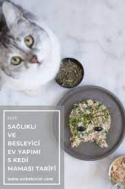 saglikli ve besleyici ev yapimi 5 kedi mamasi tarifi gida ev yapimi saglikli