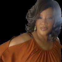 Davida Lynn Robinson Obituary (2023)