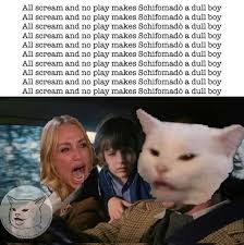 The Absolute Best Woman Yelling At Cat Memes Seriously Only The Good Ones Gallery