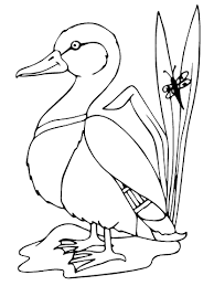 Ordek Boyama Sayfasi Coloring Pages Bird Drawings Butterfly Coloring Page
