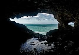 The Animal Flower Cave St Lucy Barbados Barbados Travel Barbados Vacation Caribbean Culture