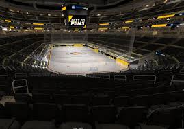 Nashville Predators Virtual Venue By Iomedia 4a8fb254a26