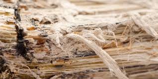 Check spelling or type a new query. How To Identify Asbestos During A Renovation Budget Dumpster