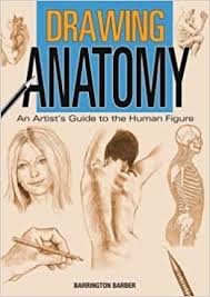 Not only does the book focus on the. Drawing Anatomy 9781435158542 Amazon Com Books