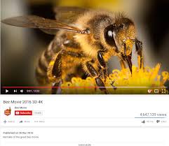 Bee movie but every time they say bee you can hear your dad telling you i'm not mad, i'm just disappointed. the bee movie but every time you watch it several honey bees die because of colony collapse disorder which still has no defin (1/317). Best Movie Bee Movie Remake Dankmemes