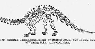 Scientists Unexpectedly Discover That The Brontosaurus May Be A Real Dinosaur After All Brontosaurus Dinosaur Real Dinosaur