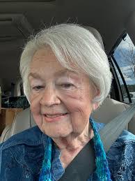 Beautiful Holly Tree in Anna near St. Moriah Lutheran Church