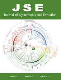 Image result for Ctenium longiglume