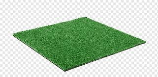 Rerumputan memiliki tinggi 18 sampai 24 inci dan memiliki kebiasaan melengkung dengan pisau lipat yang rata. Rumput Buatan Rumput Karpet Taman Halaman Lantai Rumput Rumput Rumput Sintetis Halaman Png Pngwing