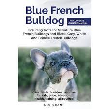 You may be wondering how such a high price tag is justified for just a dog. Blue French Bulldog By Leo Grant Paperback Target