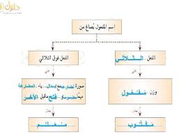 اسم المفعول يصاغ من المكتبة التعليمية