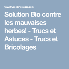 Solution Bio Contre Les Mauvaises Herbes Comment Nettoyer Trucs Et Astuces Nettoyage Filtre Hotte