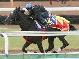 有力候補 と騒がれながら 本番のクラシックでは勝てなかった馬たち クラシック 馬 牡馬