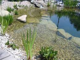 Schwimmteich Fotos Schwimmteich Bilder Gartenteich Bilder Teichfotos Teichbilder Honcak At In 2020 Schwimmteich Gartenteich Wasserspiel Garten