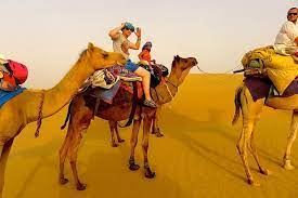 The historic beauty of the city has the potential to. Private Excursion Half Day Safari Route Jaisalmer Camel Safari Jaisalmer 2021