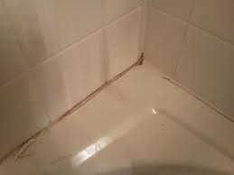 I feel like a shower caulk should be something special that can easily prevent any water leakage. A Minor Shower Repair Could Save Thousands Pristine Tile Carpet Cleaning