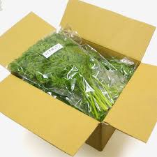 店舗販売 無農薬 有機にんじんの葉っぱ 100ｇ
