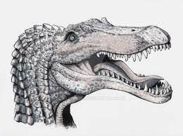 Spinosaurus Head Study By Almayer Spinosaurus Dinosaur Sketch Dinosaur Art