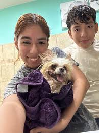 Lost Pomeranian dog in Tom's River area near Rt 37 & Adams Ave