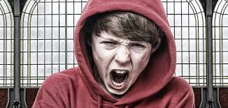 Step Mom? No, I Had A Bonus Parent. Teens In a Divorced Family