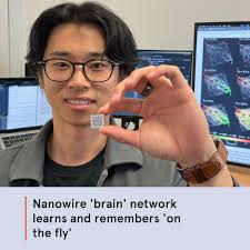 For the first time, a physical neural network has successfully been shown  to learn and remember 'on the fly', in a way inspired by and similar to how  the brain's neurons work.