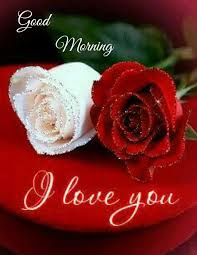 Romantic flowers for my lover. Romantic Love Flowers Images Gif 2021 For Android Apk Download