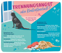 Keiner möchte mit mirbefreundet sein und ich habe nur ein freund der aber oft keine zeit hat. Hund Alleine Lassen Trennungsangst Vermeiden Fressnapf