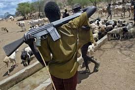 Plateau governor slams curfew after herdsmen killed monarch, others